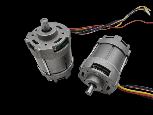 購入 高いトルクBLDCの電気自動車モーター15 - 1000ワット online manufacture